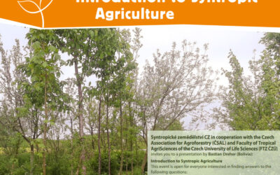 Introduction to Syntropic Agriculture